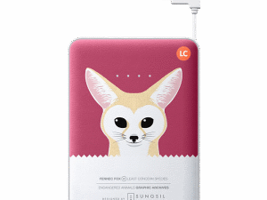 Powerbank 4500